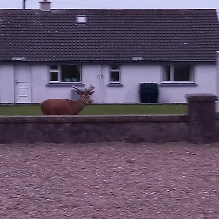 Seatadis Wild Atlantic Way Fab Sea Views In Seatardis 2 Bedroom Self Contained Let F92d5x4 Dom wakacyjny Letterkenny